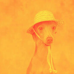 Lonely Ambience for Saturday Pups