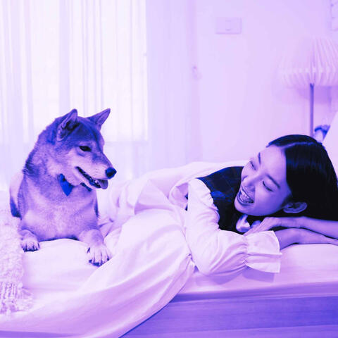 Vibrant Piano Bossa Duo - Ambiance for Doggy Sweater Weather