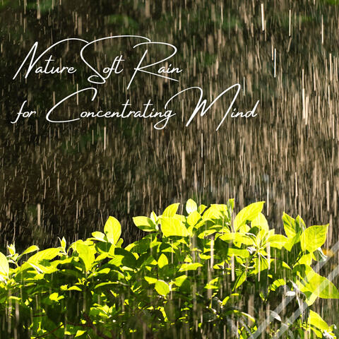 Nature Soft Rain for Concentrating Mind