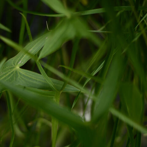 Fitness için müzik