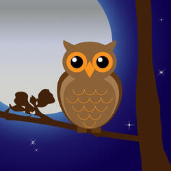 The sound of a babbling swamp owl in nature
