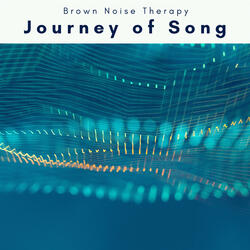 Journey of Colorful Noise Noises for Unique REM