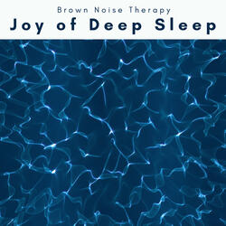 Lands of Colorful Noise Music for Total Sleep