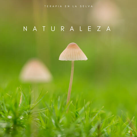 Naturaleza: Terapia En La Selva