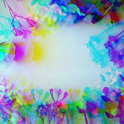 Fantastic Perfect Ones