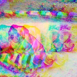 Background for Wonderful Doggies