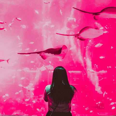 Echoes of Chill Ones