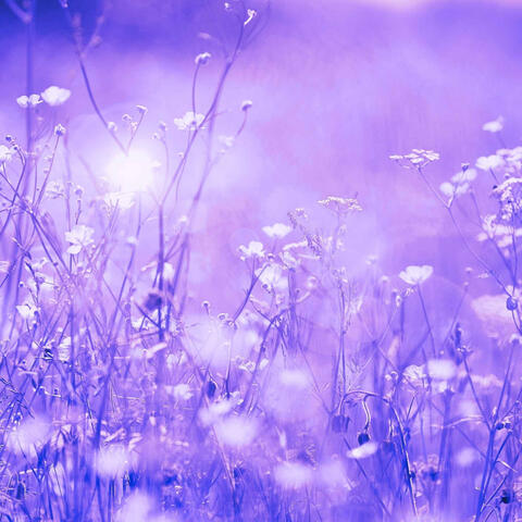 Happening Jazz Piano Duo - Ambiance for Periodic Times