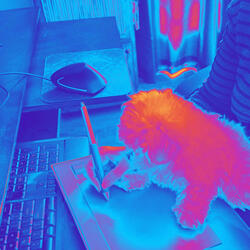 Cultured Backdrops for Doggo Resting