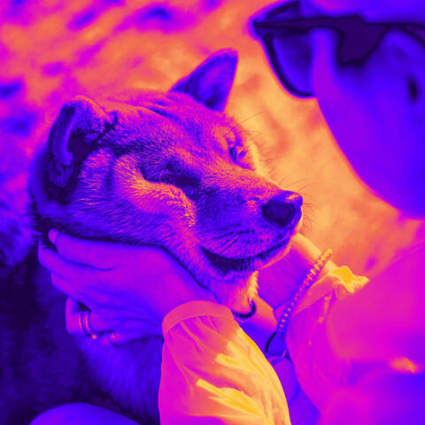 Ambiance for Doggo Resting