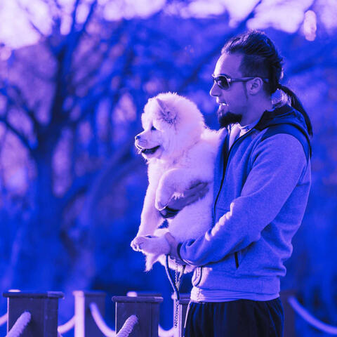 Jazz Piano Duo - Background for Doggy Focus
