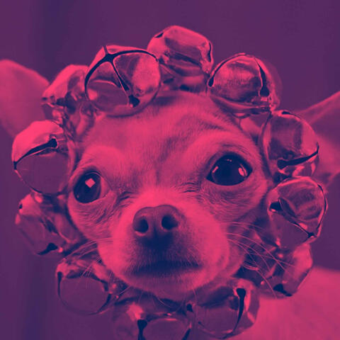 Music for Wonderful Doggies (Piano Duo)