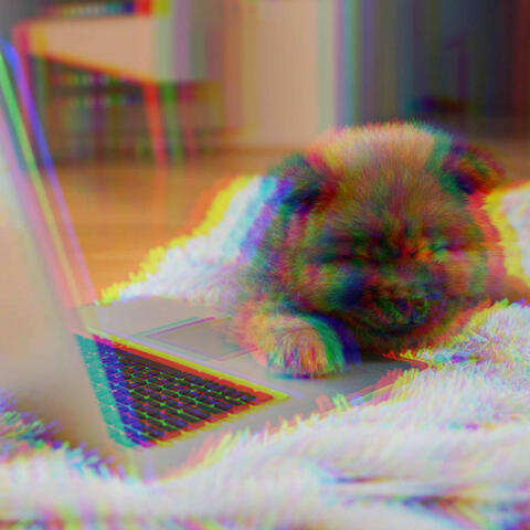 Piano Jazz Duo (Music for Sleepy Puppy Moments)