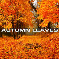 Soothing Ambient Autumn Leaves