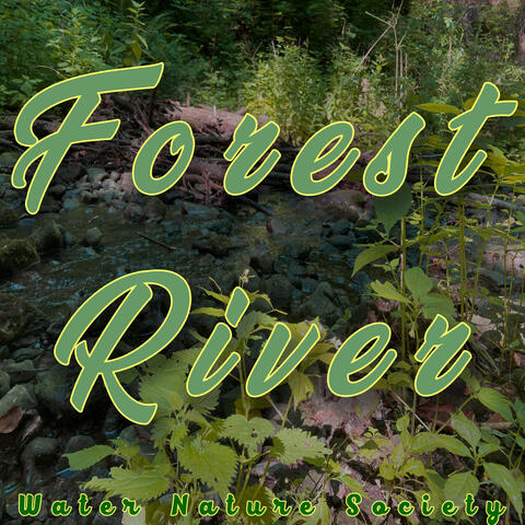 Forest River