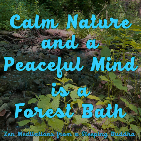 Calm Nature and a Peaceful Mind is a Forest Bath