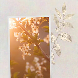 Background for Soft Minutes