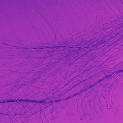 Contemporary Backdrops for Meditative Days