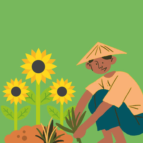 Music for Beach Moods