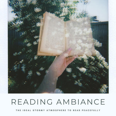 Reading Ambiance: The Ideal Stormy Atmosphere To Read Peacefully