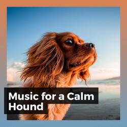 Music for a Calm Hound, Pt. 15