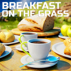 Relaxing Breakfast on the Grass