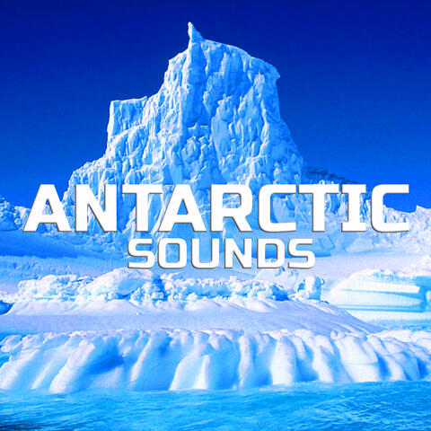 Antarctic Sounds