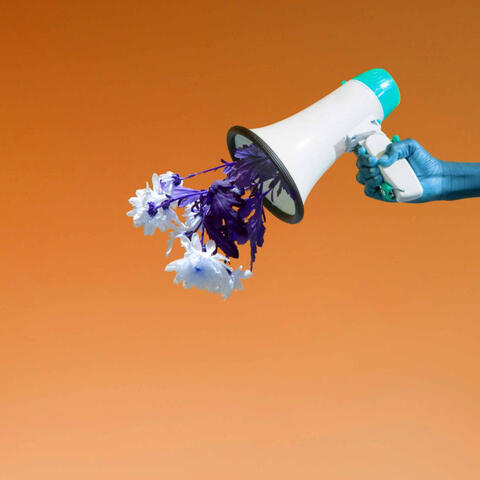 Backdrop for Chilled Minutes