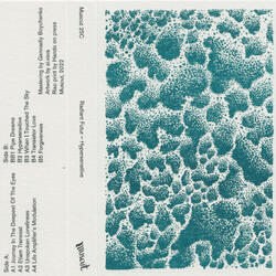 Life Amplifier’s Modulation