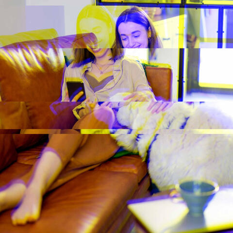 Luxurious Trio Jazz - Ambiance for Sleepy Hound Zone