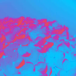 Bossa Nova Piano Duo Soundtrack for Sleeping Darkness