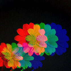 Pulsating Backdrops for Chilled Minutes