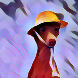 Divine Ambience for Puppy Day Dreaming