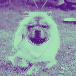 Fabulous Music for Atmosphere