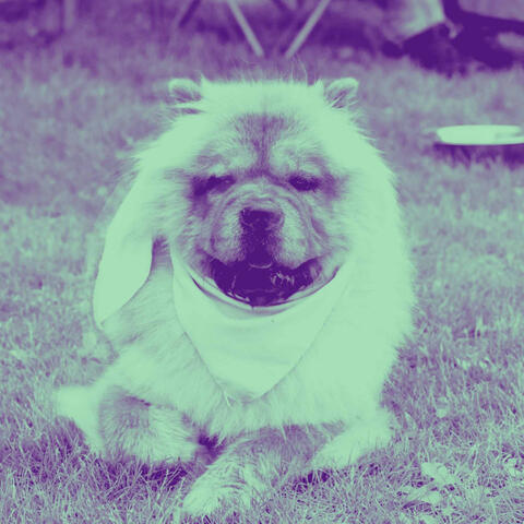 Music for Classic Hounds - Fabulous Jazz Quintet