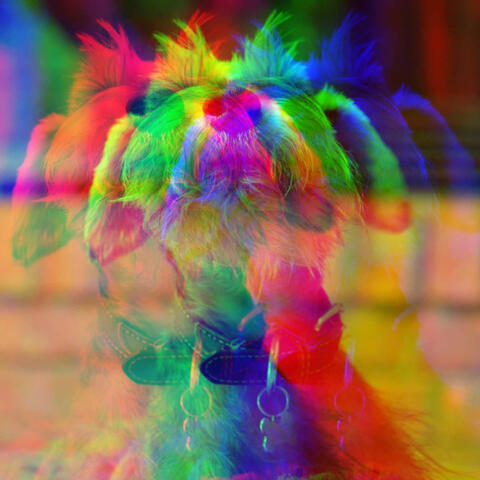 Guitar Jazz - Background for Doggy Radio