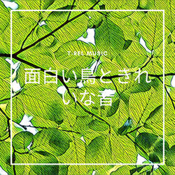 ネイチャーミュージックとノイズ