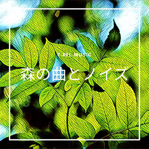 森の曲とノイズ