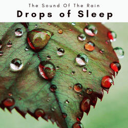 Get Ready for Sleep with Magnificent Music of Virgin Nature