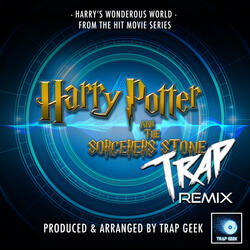 Harry's Wonderous World (From "Harry Potter and the Sorcerers Stone")