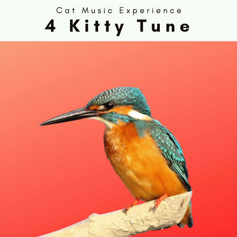 4 Kitty Tune