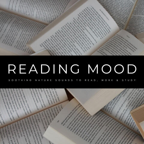 Reading Mood: Soothing Nature Sounds To Read, Work & Study