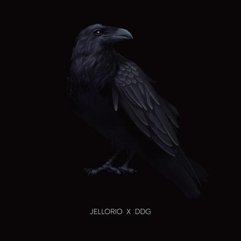 RAVEN
