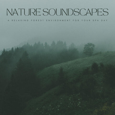 Nature Soundscapes: A Relaxing Forest Environment For Your Spa Day