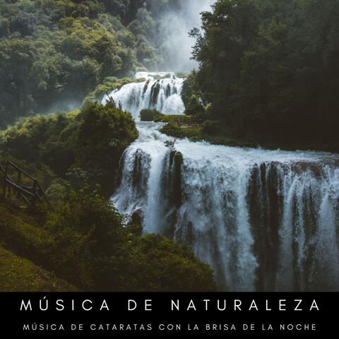 Música De Naturaleza: Música De Cataratas Con La Brisa De La Noche