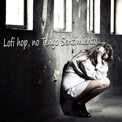 Sad for your guilt Lofi Beats
