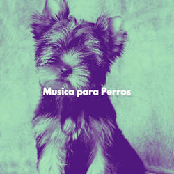 Heavenly Electric and Acoustic Piano - Vibe for Sneaky Doggies