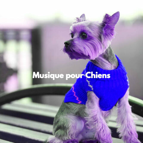 Musique pour Chiens