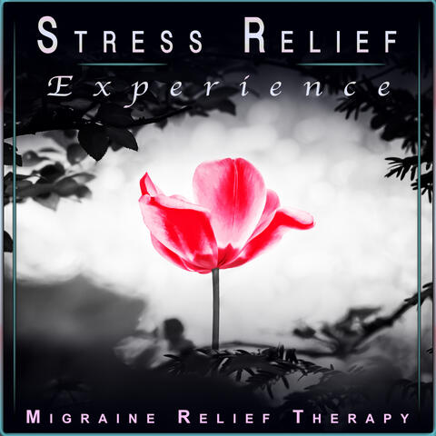 Stress Relief Experience: Migraine and Headache Relief Music
