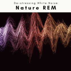 REM Master Joy Music for Baby Rest